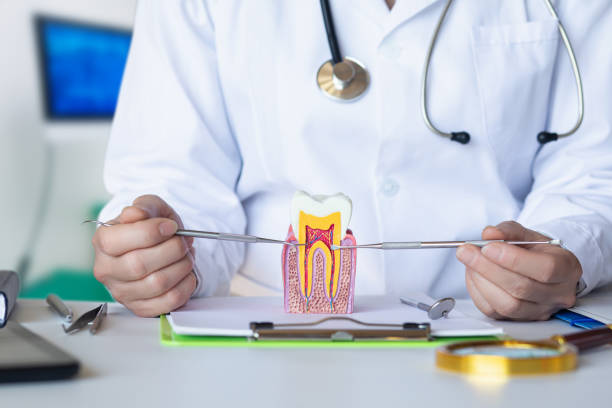 Best Emergency Wisdom Tooth Extraction in Wintersville, OH